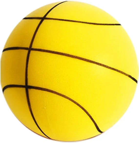 Mirakli Silent Basketball